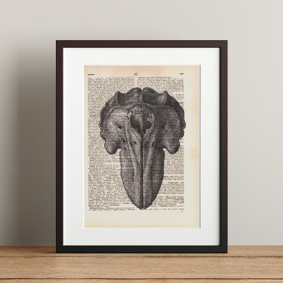 Head of the Hunter 21x28.3cm 5900 kr