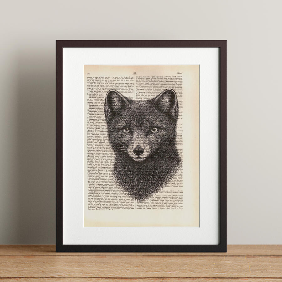 Arctic Fox - 21x28.3cm - 5.900 kr