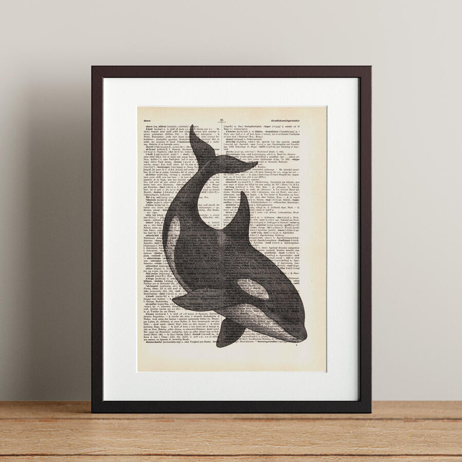 Orca - 21x28.3cm - 5.900 kr