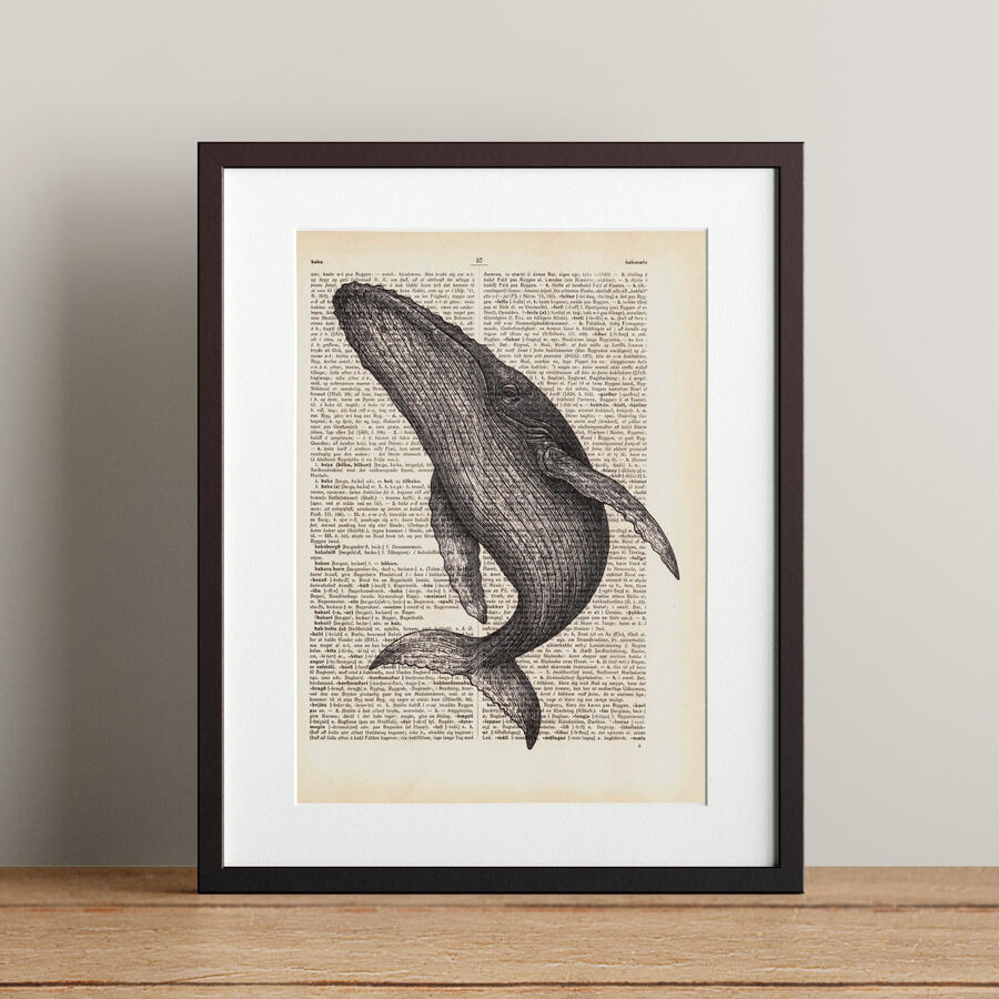 Humpback Whale - 21x28.3cm - 5.900 kr