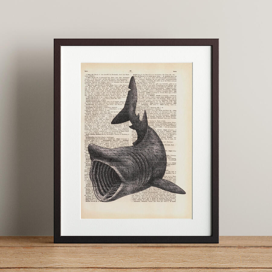 Basking Shark - 21x28.3cm - 5.900 kr