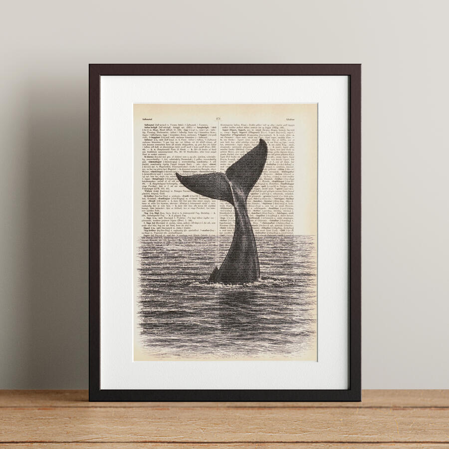 Fluke - 21x28.3cm - 5.900 kr