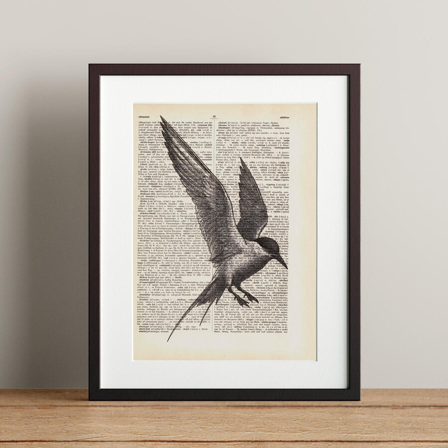 Arctic Tern 21x28.3cm 5900 kr