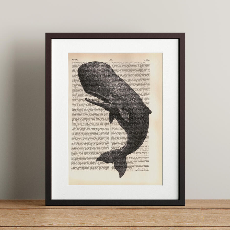 Sperm Whale - 21x28.3cm - 5.900 kr